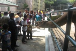 Taman Hewan Siantar Dipadati Pengunjung