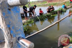 Lahan Bermain Alternatif