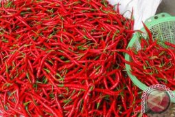 Harga cabai di Aceh Utara belum stabil
