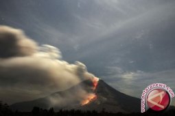 19 Gunung Api Berstatus Waspada