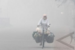 Kalbar Ajukan Bantuan Untuk 708 Korban Asap
