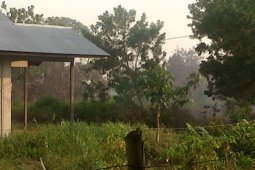 Kapolda Kalbar Perintahkan Polres Ikut Padamkam Karhutla