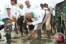 Penanaman Mangrove Capai 12.268.819 Pohon
