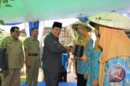 Mukmin: Budayakan Gemar Menanam di Pekarangan