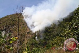 Empat titik api terdeteksi di Kabupaten Aceh Barat