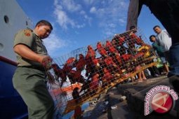 Balai Karantina  Gagalkan Penyelundupan  Burung