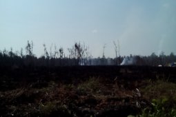 Tim Terpadu Singkawang Amankan Pelaku Pembakaran Lahan