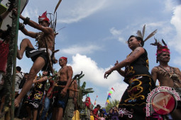 PANJAT MANAU BERDURI