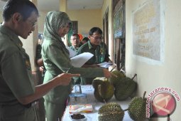 KONTES DURIAN LOKAL