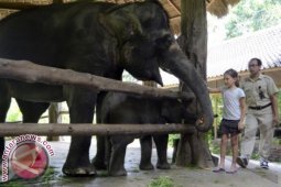 BSMP Perkenalkan Anak Satwa Langka Kepada Pengunjung