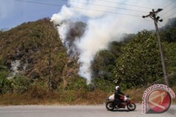 Hutan Lindung Terbakar