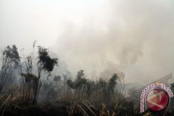 Kebakaran Hutan Riau