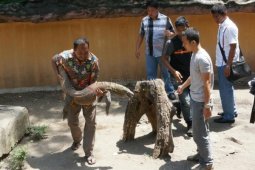 Evakuasi Komodo KBS Mati