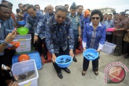 Presiden Lepaskan Tukik (Anak Penyu)