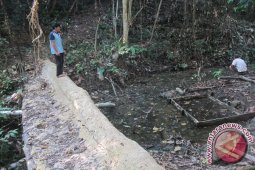 Warga Suku Dayak Sangkima Nikamti Air Bersih