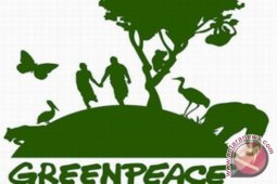 Greenpeace Cegah Pengrusakan Hutan