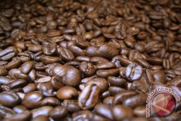 Kopi Aceh Berpeluang Besar Tembus Pasar Afrika