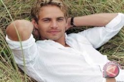 Paul Walker Tewas Akibat "Kecepatan"