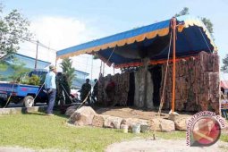Mako Lanud Di Jaga Rajawali