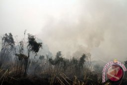 Kapolda Kalbar Imbau Masyarakat Tidak Bakar Lahan