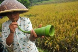 Alat Musik Sambut Musim Panen