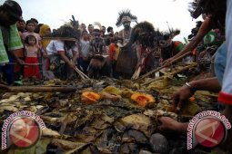 Penderita Cacing Pita Babi Banyak Ditemukan di Papua