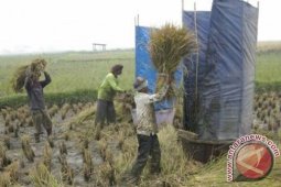 Pangan Bentuk NTP Bali Naik 2,12 Persen