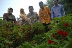 Walikota Depok Petik Bunga