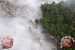 Empat Perusahaan Kembali Bakar Lahan