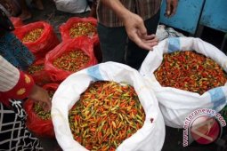 Harga Cabe Melonjak