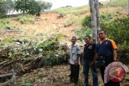 TINJAU LOKASI LONGSOR