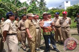 BUPATI TINJAU LAHAN SAWAH  DI AMPUKUNG