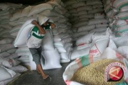 Stok Kacang Kedelai di Babel Cukup