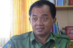 Dinkes Bakal Abatesasi Massal di Kecamatan Sintang