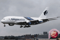 Pesawat Malaysia Ditembak Jatuh, 295 Tewas