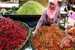 Disperindag Babel Kesulitan Tekan Harga Cabai Rawit