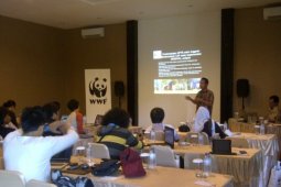 APHI: 24,60 Juta Hektare Hutan Produksi Terlantar