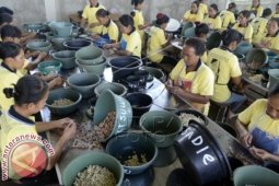 Perusahaan Pengolahan Mente Bantu Perekonomian Masyarakat Bali