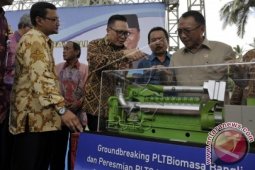 Pembangkit Listrik Biomassa