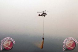 BNPB Wapadai Dampak El-Nino di Riau