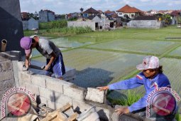 Sektor Pertanian Tetap Perlukan Perhatian Pemerintah