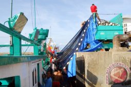 Harga Pukat Jaring