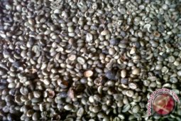 Aceh jajaki pasar baru kopi di Eropa