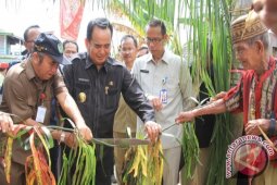 Wagub Resmikan Lamin Temenggung Merta Tanjung Isuy