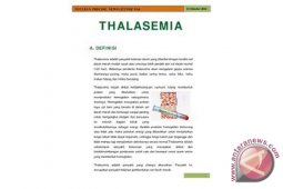 Wali Kota Buka Talk Show Thalasemia