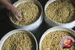 Stok Kacang Kedelai di Babel Mencukupi