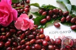 Kopi "Gayo" Segera Masuk Pasar Eropa