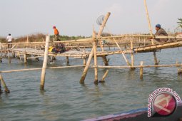 DKP Bangka Barat Bangun Rumpon Lima Lokasi