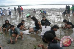 Wartawan Tanam Bakau di Tanjung Aan Lombok