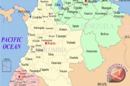 16 Anak Tewas Dalam Kebakaran Bus di Kolombia